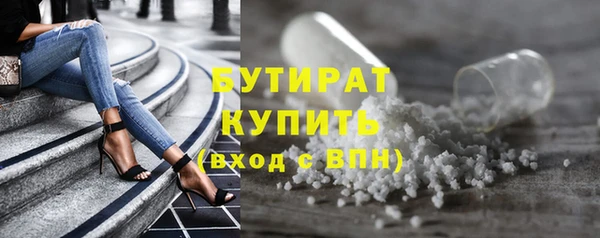 сатива Новозыбков