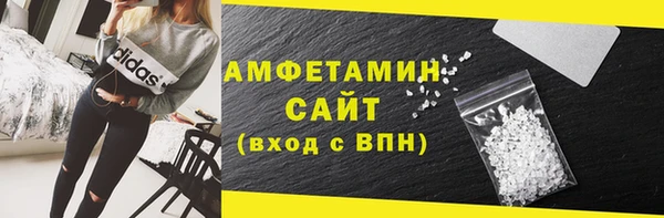 сатива Новозыбков