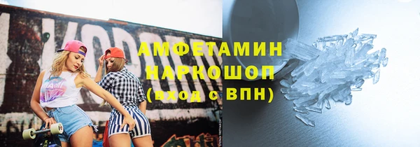 сатива Новозыбков