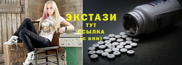 сатива Новозыбков