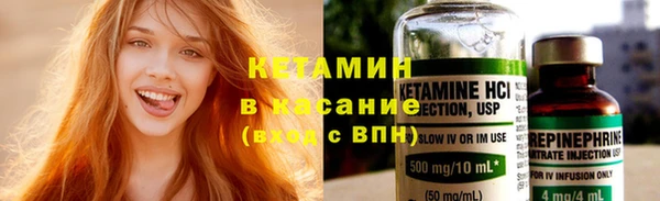 сатива Новозыбков