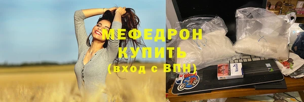 сатива Новозыбков