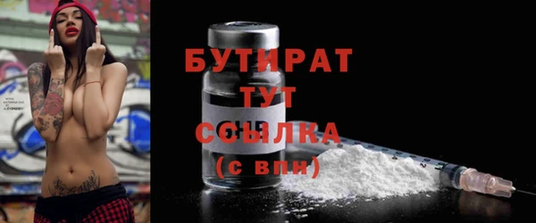 сатива Новозыбков