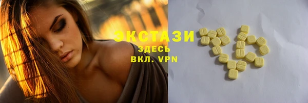 сатива Новозыбков