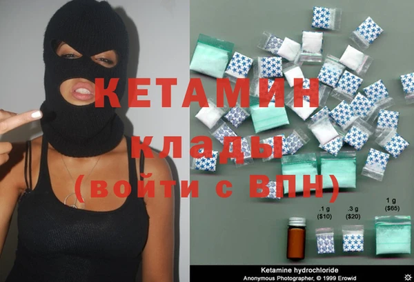 сатива Новозыбков