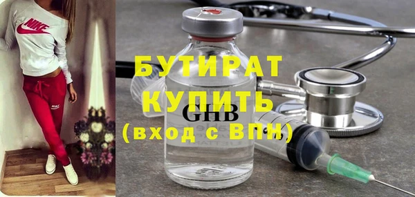 сатива Новозыбков