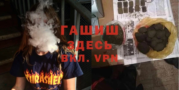 сатива Новозыбков
