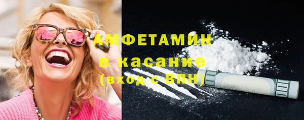 сатива Новозыбков