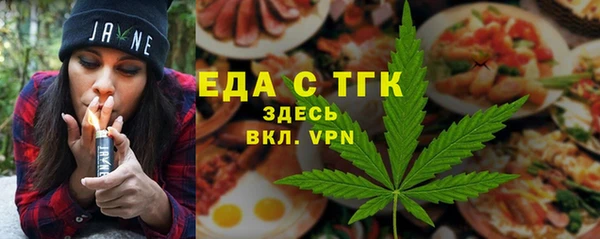 сатива Новозыбков