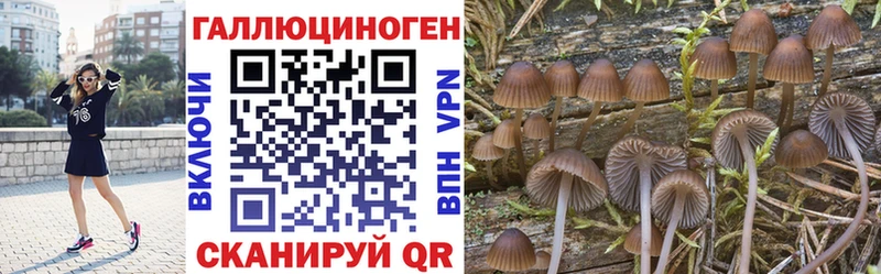 нарко площадка официальный сайт  KRAKEN ONION  Покачи  Псилоцибиновые грибы MAGIC MUSHROOMS 